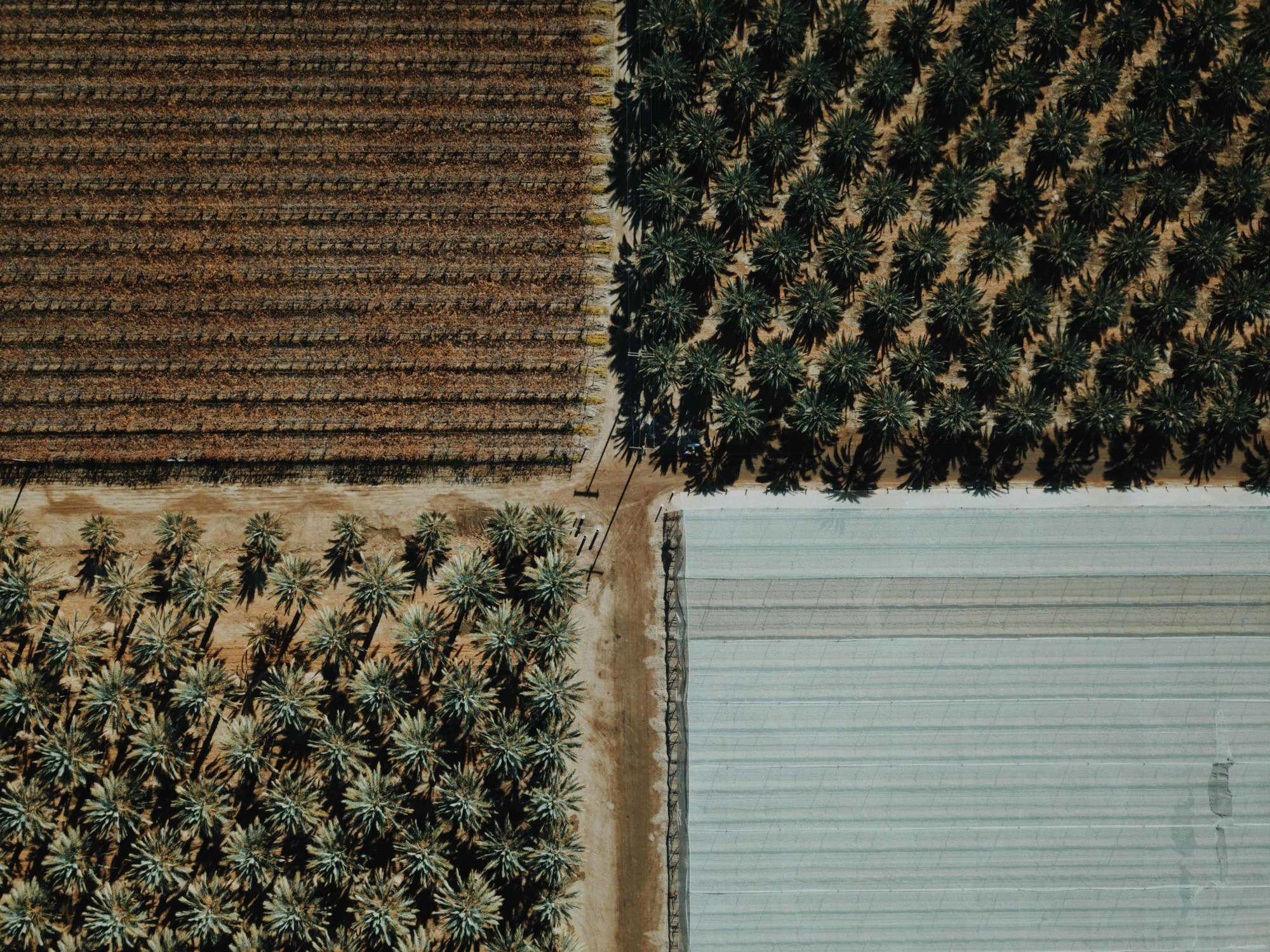 Drone Farming: What Farmers Need to Know